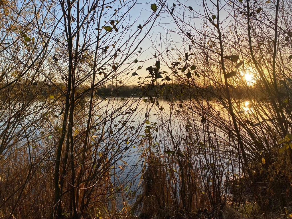 Naturlig Pa Korsgarden Glamping Nysted Buitenkant foto